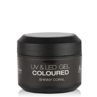 GEL UV & LED de culoare