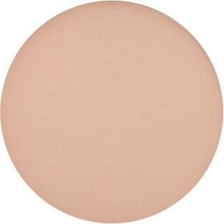 13572 fair powder